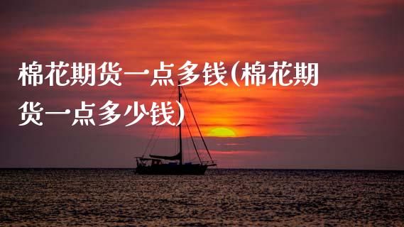 棉花期货一点多钱(棉花期货一点多少钱)_https://www.gzbbqc.com_纳指期货_第1张