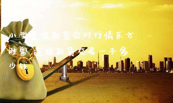 小型道指期货实时行情财富 道指期货交易一手多少钱_https://www.gnhpgy.com_道指期货_第1张