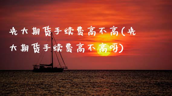 光大期货手续费高不高(光大期货手续费高不高呀)_https://www.gzbbqc.com_黄金期货_第1张