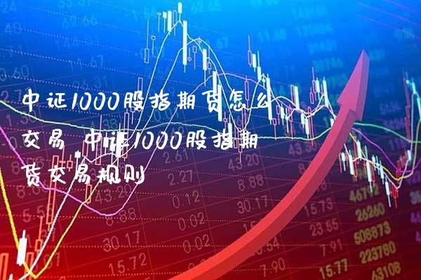 中证1000股指期货怎么交易 中证1000股指期货交易规则_https://www.gnhpgy.com_股指期货_第1张
