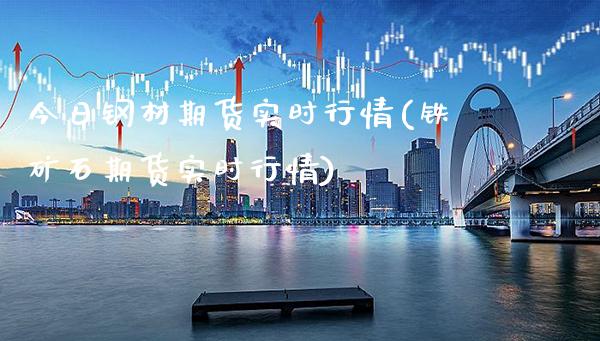今日钢材期货实时行情(铁矿石期货实时行情)_https://www.gzbbqc.com_恒指期货_第1张