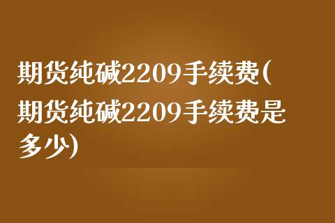 期货纯碱2209手续费(期货纯碱2209手续费是多少)_https://www.gzbbqc.com_纳指期货_第1张