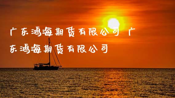 广东鸿海期货有限公司 广东鸿海期货有限公司_https://www.gnhpgy.com_期货知识_第1张