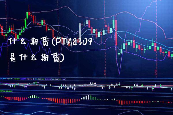 什么期货(PTA2309是什么期货)_https://www.gzbbqc.com_道指期货_第1张