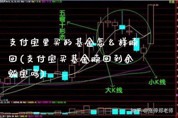 支付宝里买的基金怎么样赎回(支付宝买基金赎回到余额宝吗)_https://www.gzbbqc.com_未分类_第1张