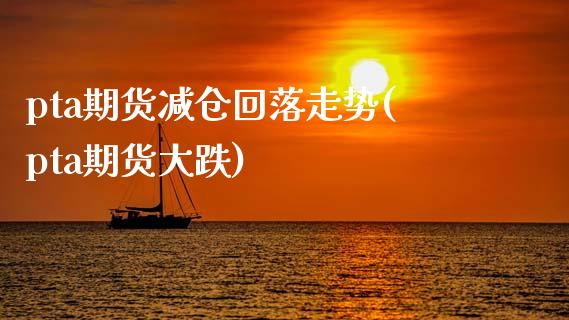 pta期货减仓回落走势(pta期货大跌)_https://www.gzbbqc.com_德指期货_第1张