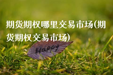 期货期权哪里交易市场(期货期权交易市场)_https://www.gzbbqc.com_黄金期货_第1张