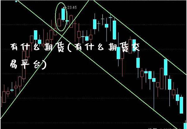 有什么期货(有什么期货交易平台)_https://www.gzbbqc.com_恒指期货_第1张