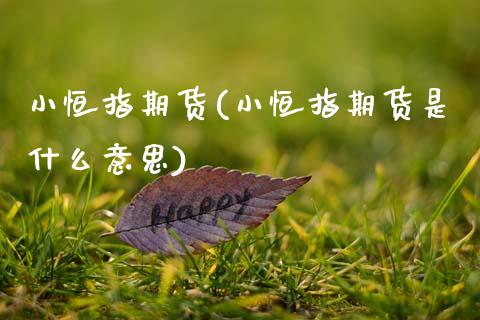 小恒指期货(小恒指期货是什么意思)_https://www.gzbbqc.com_恒指期货_第1张