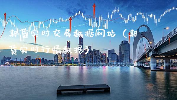 期货实时交易数据网站（期货实时行情数据）_https://www.gzbbqc.com_纳指期货_第1张