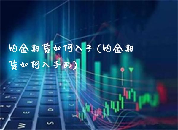 铂金期货如何入手(铂金期货如何入手的)_https://www.gzbbqc.com_股指期货_第1张