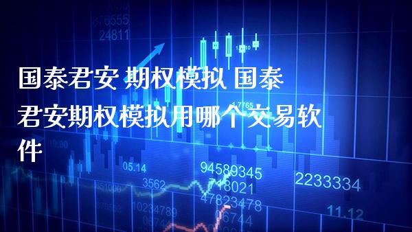  期权模拟 期权模拟用哪个交易软件_https://www.gnhpgy.com_期货知识_第1张