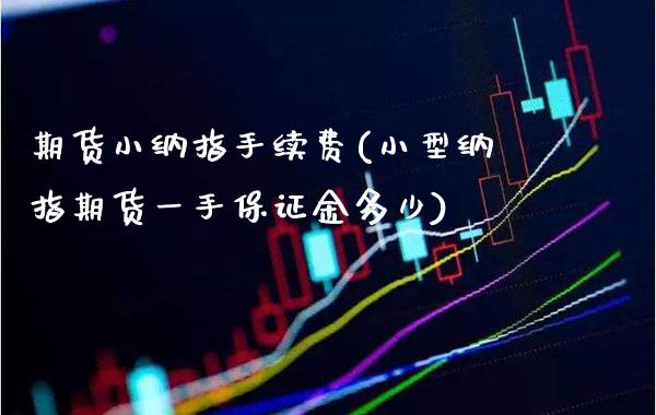 期货小纳指手续费(小型纳指期货一手保证金多少)_https://www.gzbbqc.com_道指期货_第1张