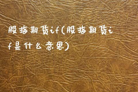 股指期货if(股指期货if是什么意思)_https://www.gzbbqc.com_纳指期货_第1张
