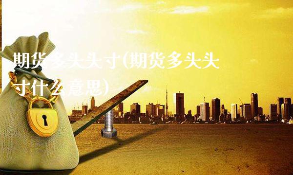 期货多头头寸(期货多头头寸什么意思)_https://www.gzbbqc.com_德指期货_第1张