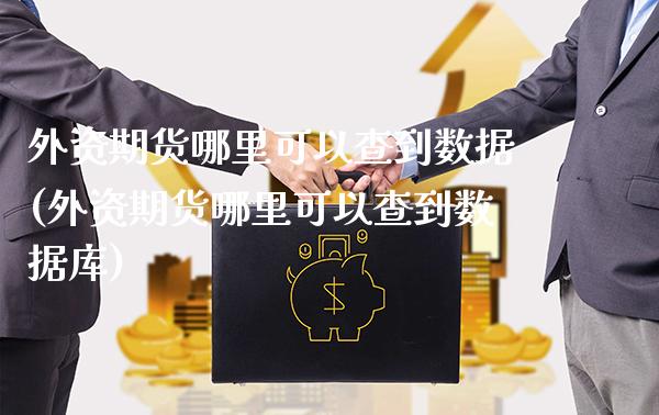 外资期货哪里可以查到数据(外资期货哪里可以查到数据库)_https://www.gzbbqc.com_黄金期货_第1张