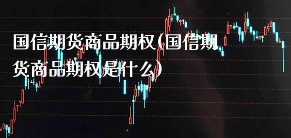 国信期货商品期权(国信期货商品期权是什么)_https://www.gzbbqc.com_期货知识_第1张