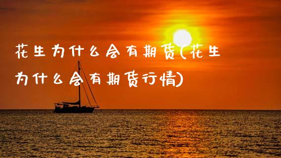 花生为什么会有期货(花生为什么会有期货行情)_https://www.gzbbqc.com_恒指期货_第1张
