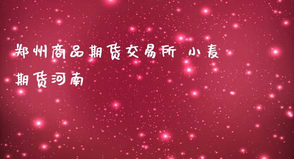郑州商品期货交易所 小麦期货河南_https://www.gnhpgy.com_原油期货_第1张