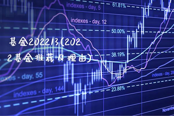 基金202213(2022基金推荐及理由)_https://www.gzbbqc.com_恒指期货_第1张