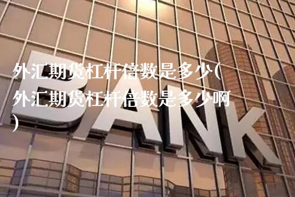 外汇期货杠杆倍数是多少(外汇期货杠杆倍数是多少啊)_https://www.gzbbqc.com_原油期货_第1张