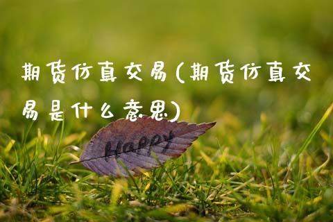 期货仿真交易(期货仿真交易是什么意思)_https://www.gzbbqc.com_纳指期货_第1张
