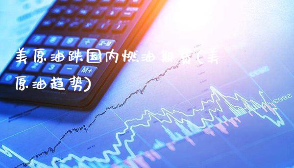 美原油跌国内燃油期货(美原油趋势)_https://www.gzbbqc.com_黄金期货_第1张