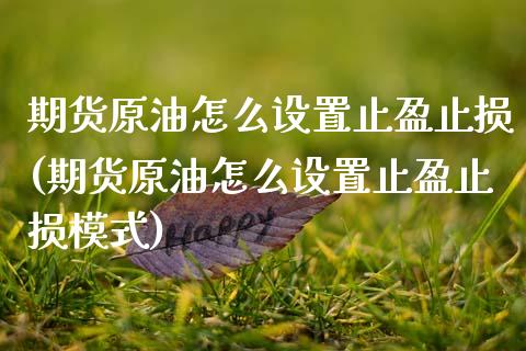 期货原油怎么设置止盈止损(期货原油怎么设置止盈止损模式)_https://www.gzbbqc.com_德指期货_第1张