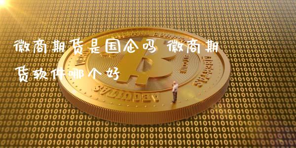 徽商期货是国企吗 徽商期货软件哪个好_https://www.gnhpgy.com_期货知识_第1张