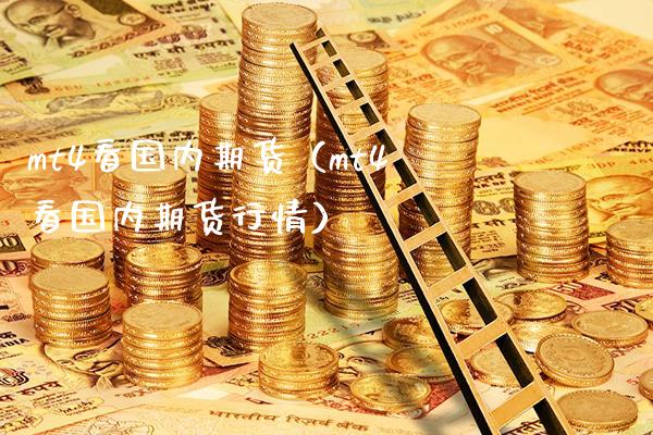 mt4看国内期货（mt4看国内期货行情）_https://www.gzbbqc.com_股指期货_第1张
