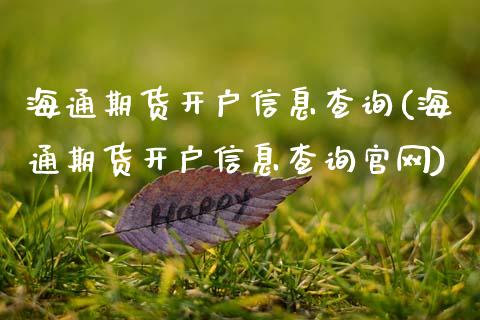 海通期货开户信息查询(海通期货开户信息查询官网)_https://www.gzbbqc.com_道指期货_第1张