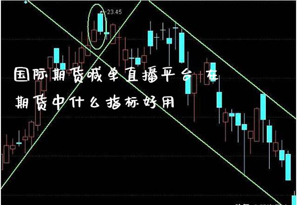 国际期货喊单直播平台 在期货中什么指标好用_https://www.gzbbqc.com_纳指期货_第1张