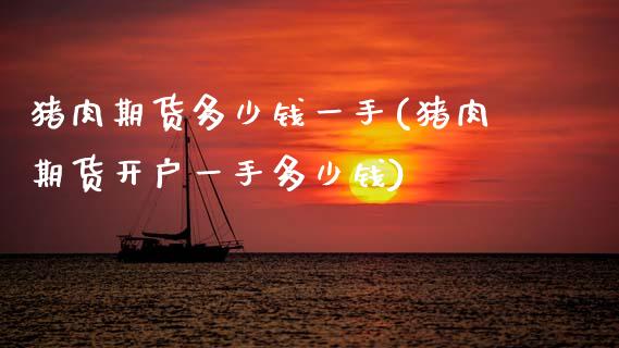 猪肉期货多少钱一手(猪肉期货开户一手多少钱)_https://www.gzbbqc.com_原油期货_第1张