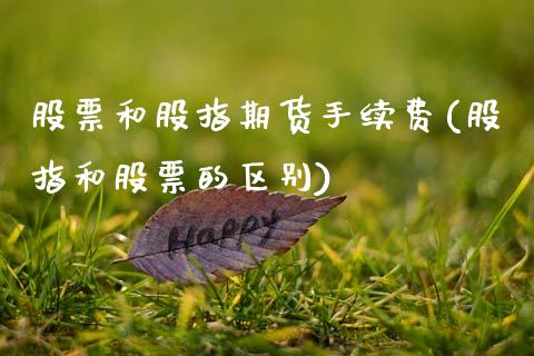 股票和股指期货手续费(股指和股票的区别)_https://www.gzbbqc.com_纳指期货_第1张