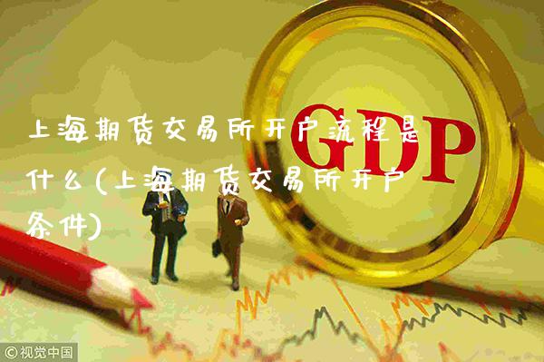 上海期货交易所开户流程是什么(上海期货交易所开户条件)_https://www.gzbbqc.com_道指期货_第1张