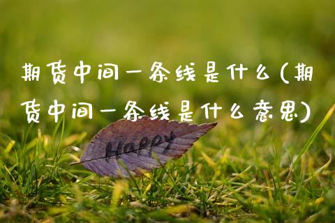 期货中间一条线是什么(期货中间一条线是什么意思)_原油期货_第1张_八八期货网 期货中间一条线是什么(期货中间一条线是什么意思)_https://www.gzbbqc.com_原油期货_第1张