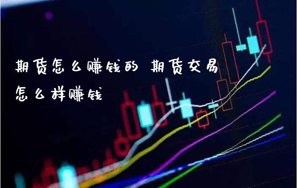 期货怎么赚钱的 期货交易怎么样赚钱_https://www.gzbbqc.com_恒指期货_第1张