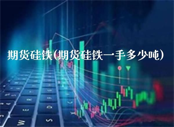 期货硅铁(期货硅铁一手多少吨)_https://www.gzbbqc.com_期货知识_第1张