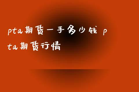 pta期货一手多少钱 pta期货行情_https://www.gzbbqc.com_纳指期货_第1张