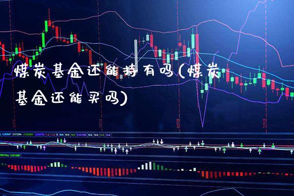 煤炭基金还能持有吗(煤炭基金还能买吗)_https://www.gzbbqc.com_未分类_第1张