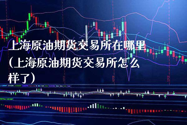 上海原油期货交易所在哪里(上海原油期货交易所怎么样了)_https://www.gzbbqc.com_未分类_第1张
