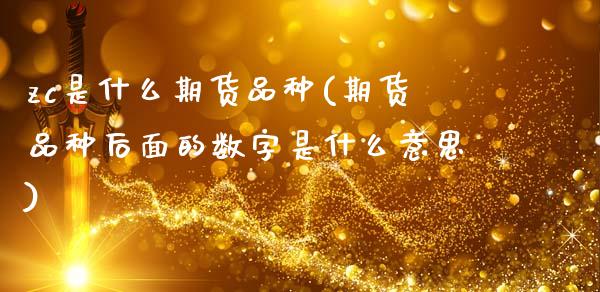 zc是什么期货品种(期货品种后面的数字是什么意思)_https://www.gzbbqc.com_德指期货_第1张