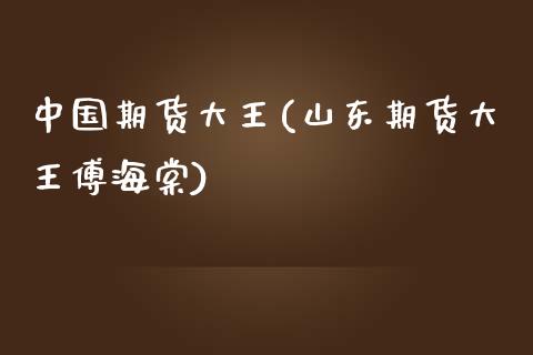 中国期货大王(山东期货大王傅海棠)_https://www.gzbbqc.com_德指期货_第1张