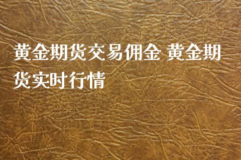 黄金期货交易佣金 黄金期货实时行情_https://www.gnhpgy.com_黄金期货_第1张