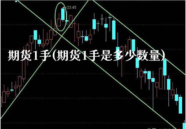 期货1手(期货1手是多少数量)_https://www.gzbbqc.com_恒指期货_第1张