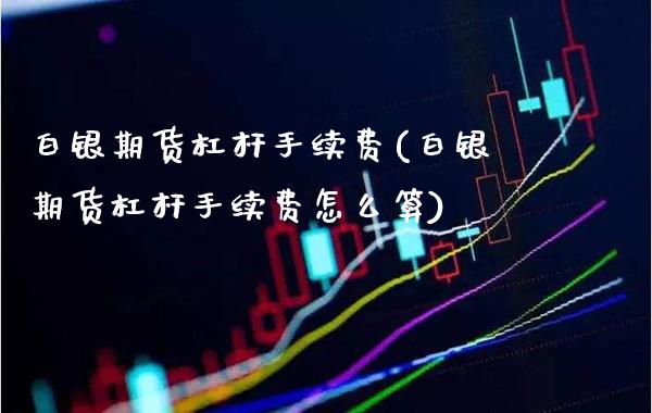 白银期货杠杆手续费(白银期货杠杆手续费怎么算)_https://www.gzbbqc.com_期货知识_第1张