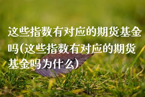 这些指数有对应的期货基金吗(这些指数有对应的期货基金吗为什么)_https://www.gzbbqc.com_纳指期货_第1张