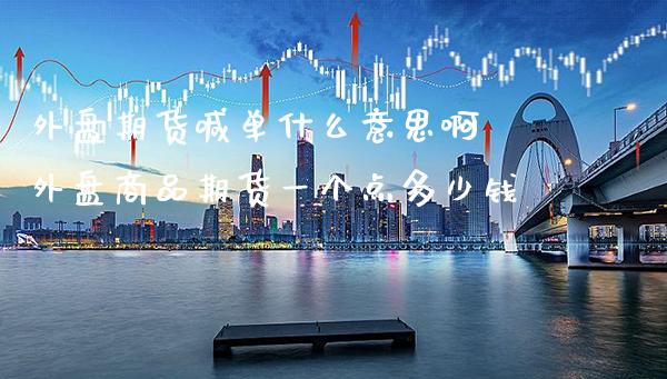 外盘期货喊单什么意思啊 外盘商品期货一个点多少钱_https://www.gzbbqc.com_股指期货_第1张