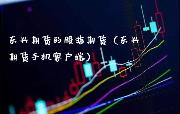 东兴期货的股指期货（东兴期货手机客户端）_https://www.gzbbqc.com_纳指期货_第1张