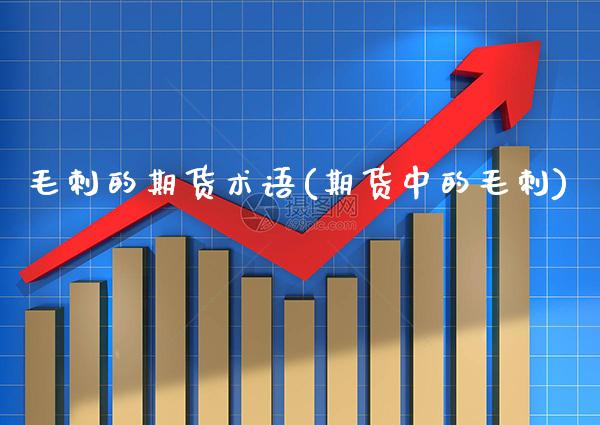 毛刺的期货术语(期货中的毛刺)_https://www.gzbbqc.com_股指期货_第1张